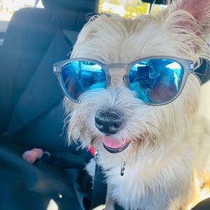 Meet your Posher, Mark